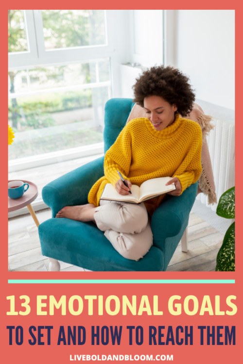 The year is coming to an end and its a good time to set your goals for the next year. Here are some emotional goals you can set and how to reach them.
