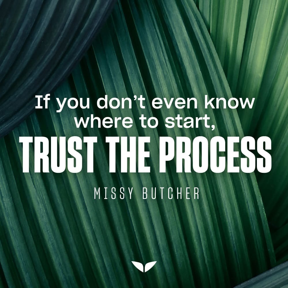 Quote by Missy Butcher about trusting the process