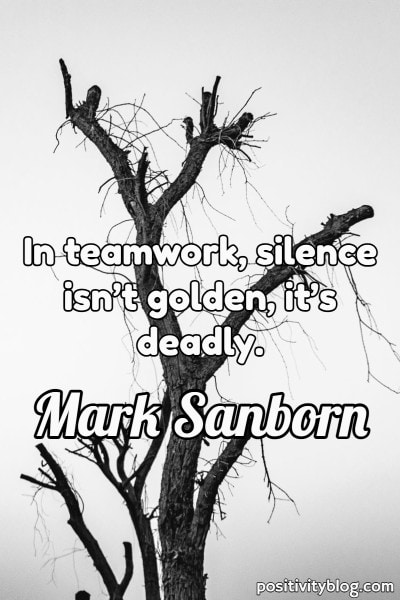 A teamwork quote by Mark Sanborn.