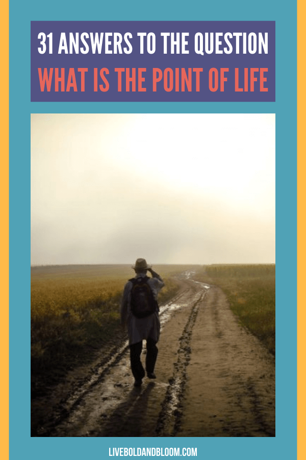 Are you wondering what's the point and purpose of life? Discover the answers to why you are here and understand the meaning and substance of your life.