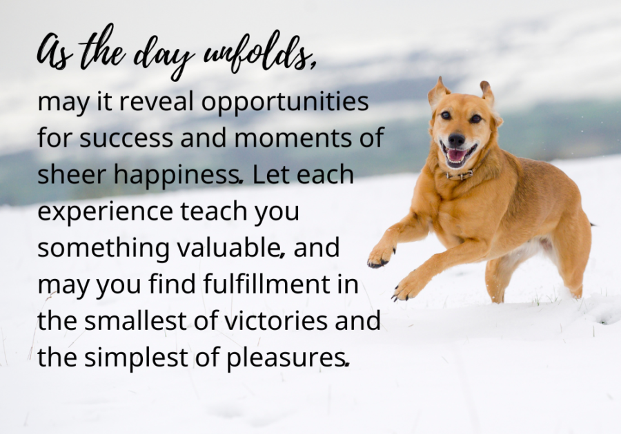 As the day unfolds, may it reveal opportunities for success and moments of sheer happiness. Let each experience teach you something valuable, and may you find fulfillment in the smallest of victories and the simplest of pleasures. Tuesday blessings